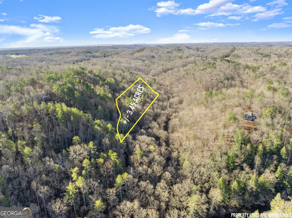 0 River View Lot 12 Trail W, Dahlonega, GA 30533 - #1
