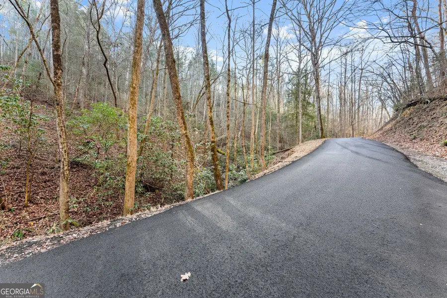 0 River View Lot 12 Trail W, Dahlonega, GA 30533 - #3