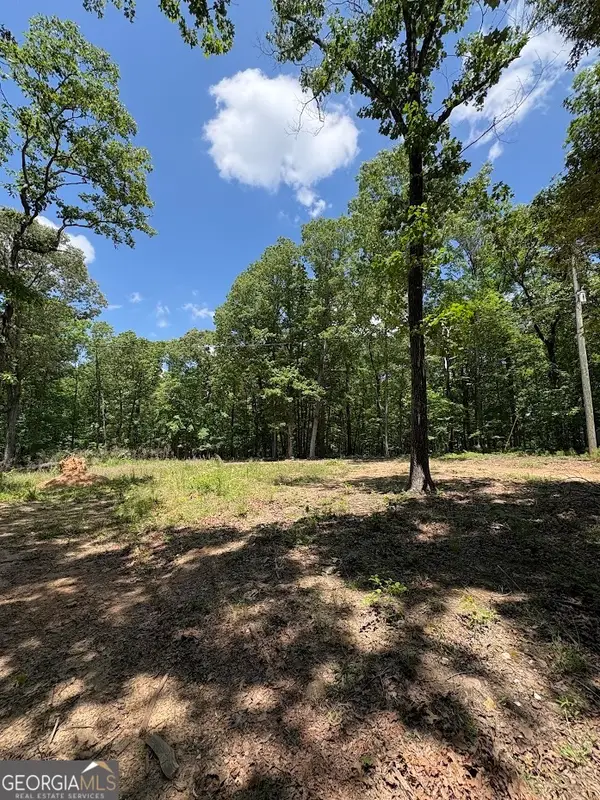 4492 U.s. 78, Tallapoosa, GA 30176