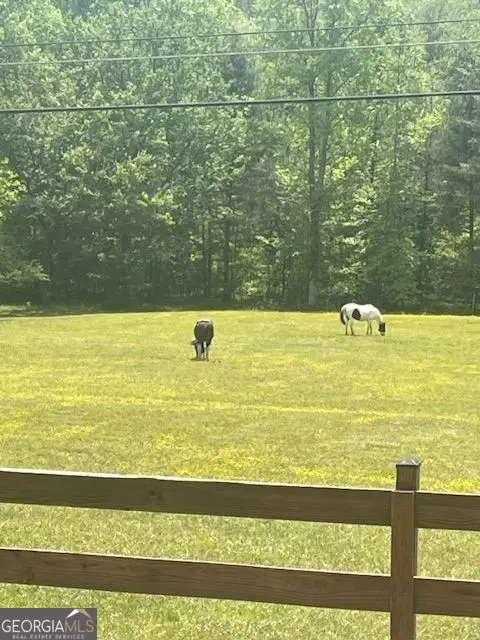 LOT 13 Woodbrier, Sautee Nacoochee, GA 30571 - #3