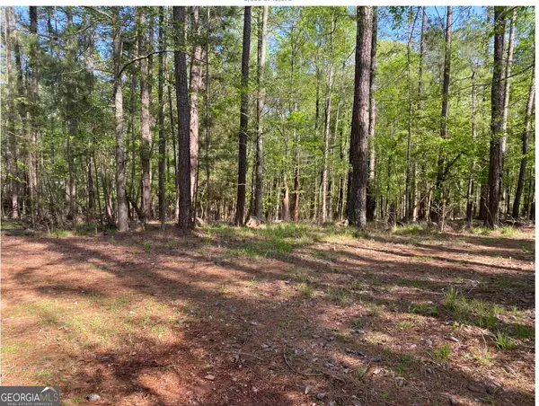 1021 Charles Court, Greensboro, GA 30642