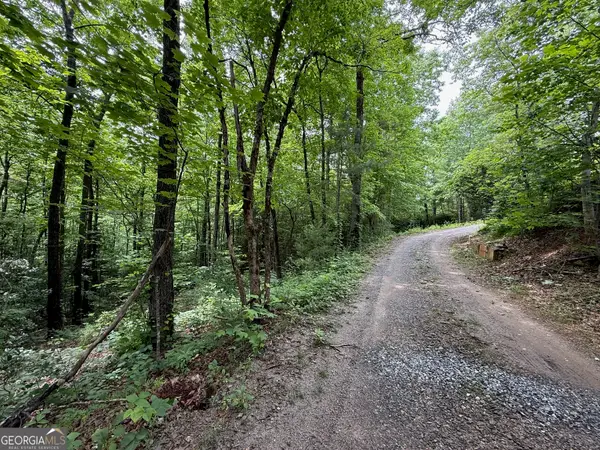 0 Mr Bert Road, Hiawassee, GA 30546