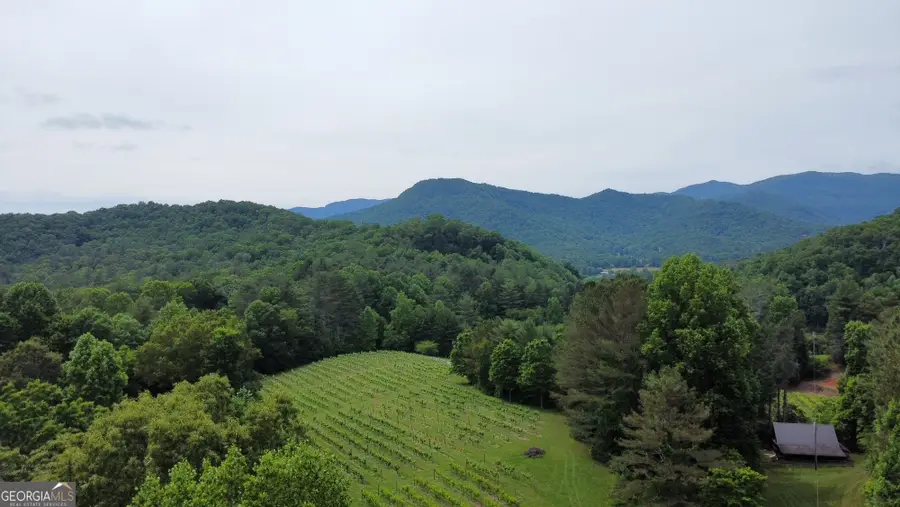 0 Mr Bert Road, Hiawassee, GA 30546 - #2