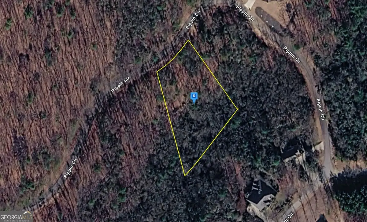 295 Pippin Cir, Clarkesville, GA 30523 - #1