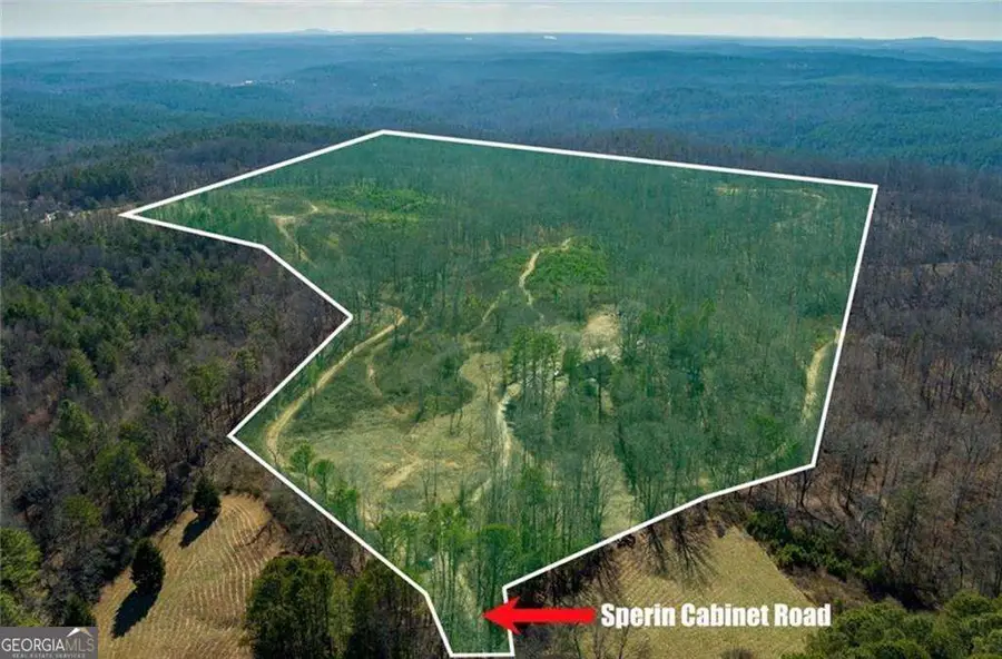 170 Sperin Cabinet Shop Road, Ball Ground, GA 30107 - #3