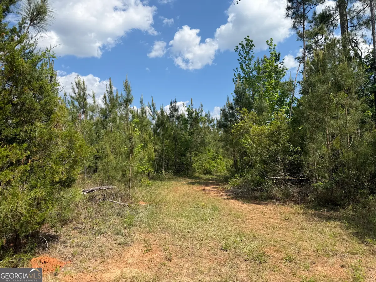 001 George Milling Rd, Cuthbert, GA 39840 - #1