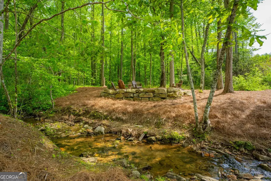 L349 Vineyard At Yukon, Ellijay, GA 30540 - #3