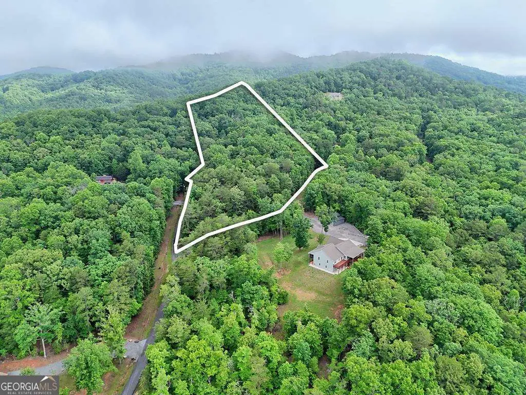 LT 16,19 Pheasant Trail #16,19, Warne, NC 28909 - #1