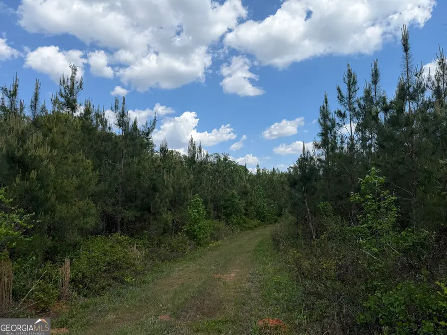 005 George Milling Rd, Cuthbert, GA 39840 - #3
