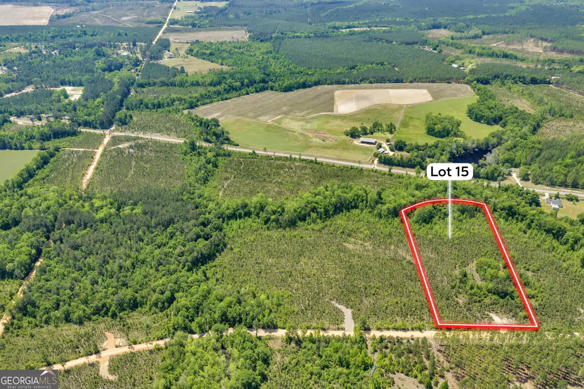 15 Graham Lane, Cadwell, GA 31009 - #1