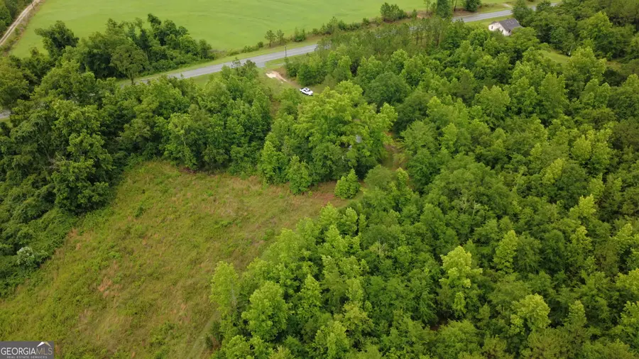0 Hwy 165, Eastman, GA 31023 - #3