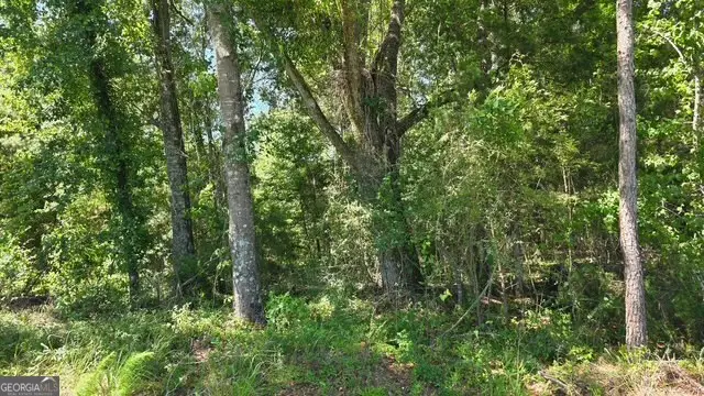 0 Willow Lake Road, Fort Valley, GA 31030 - #2