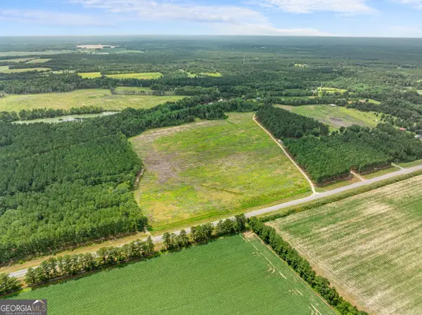 0 19.13 Acres Highway 301 N, Statesboro, GA 30458