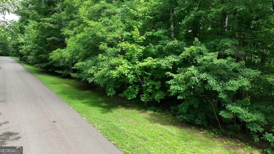 206 Northview Parkway, Ellijay, GA 30536 - #2