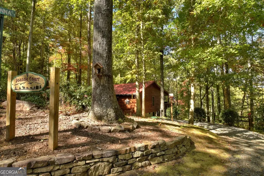 9 Joanna Court, Cherry Log, GA 30522 - #2