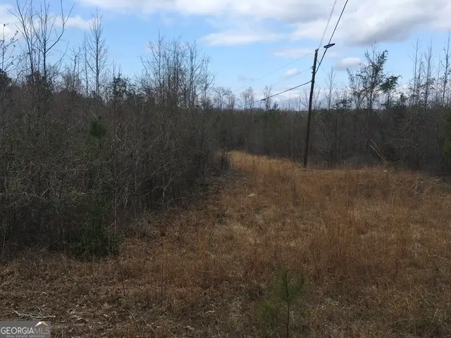 0 Dennard-hardy Road, Gordon, GA 31031 - #1
