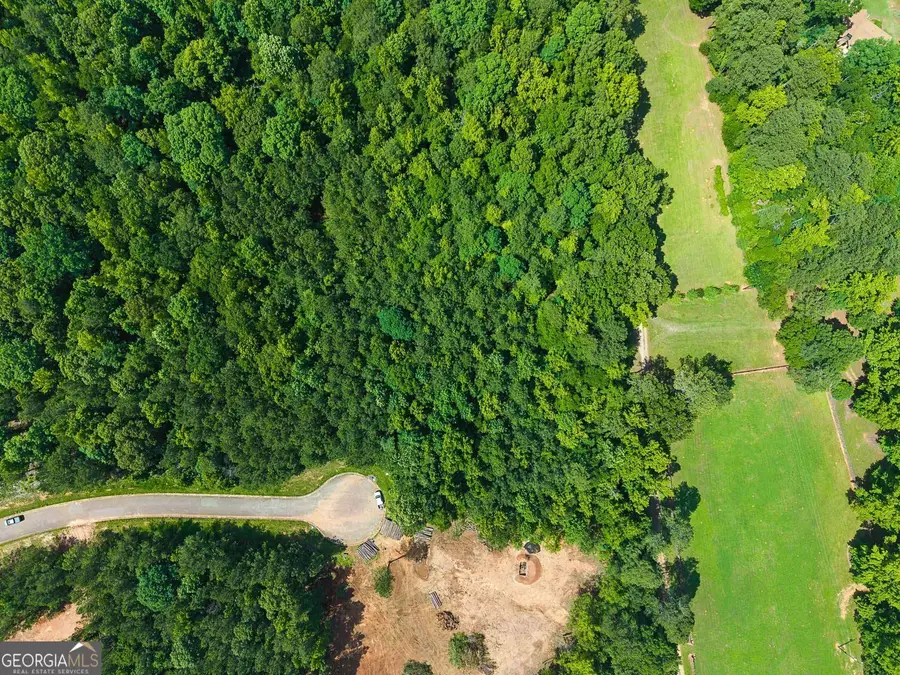 1025 Queens Bridge Way, Griffin, GA 30223 - #2