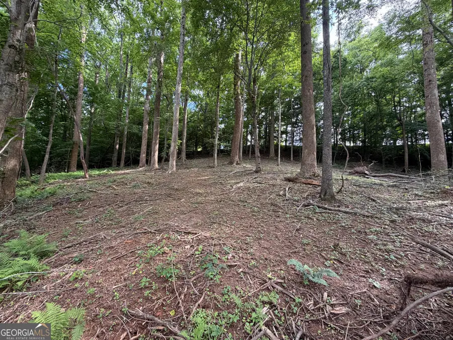 0 Martin Head Circle, Dahlonega, GA 30533 - #2