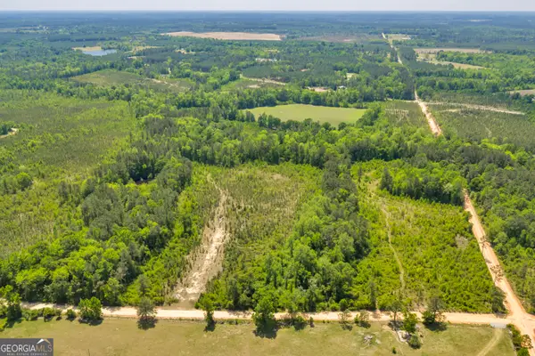 29 Graham Lane, Cadwell, GA 31009