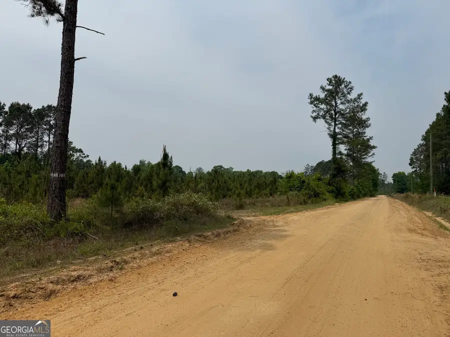 16 Graham Lane, Cadwell, GA 31009 - #2