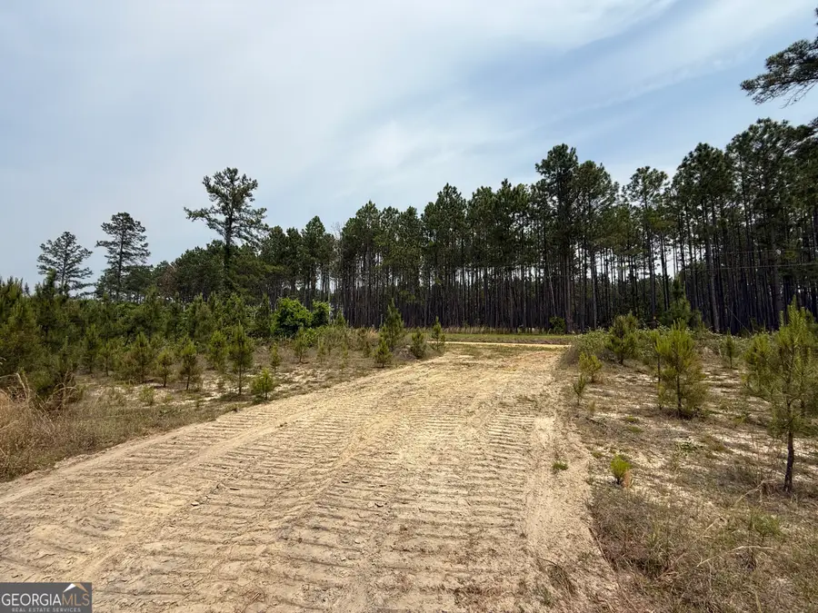 16 Graham Lane, Cadwell, GA 31009 - #3