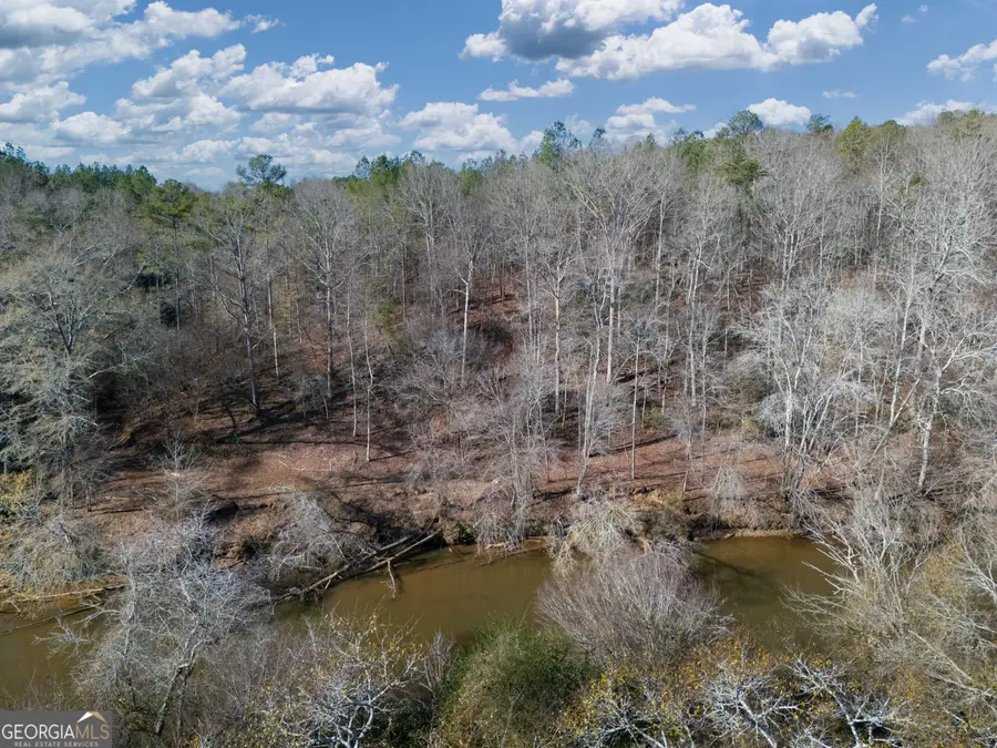 0 County Road 432 Lot 5 #L5, Woodland, AL 36280 - #3