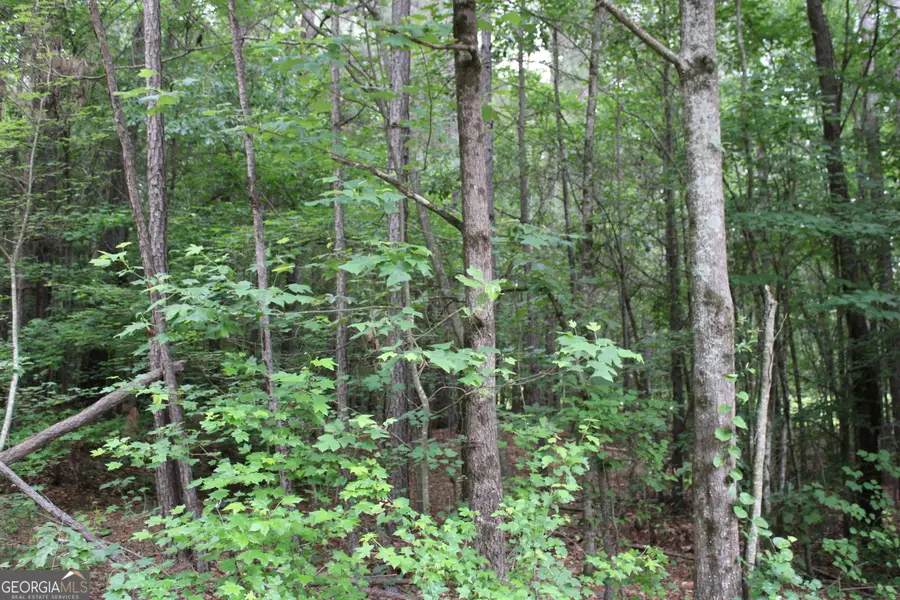 3 Garnett Ward Road, Hull, GA 30646 - #2