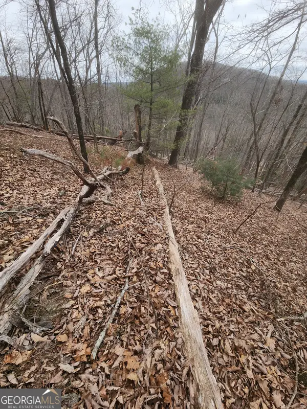 LOT #14 Little Eagle Mtn Mountain, Clarkesville, GA 30523