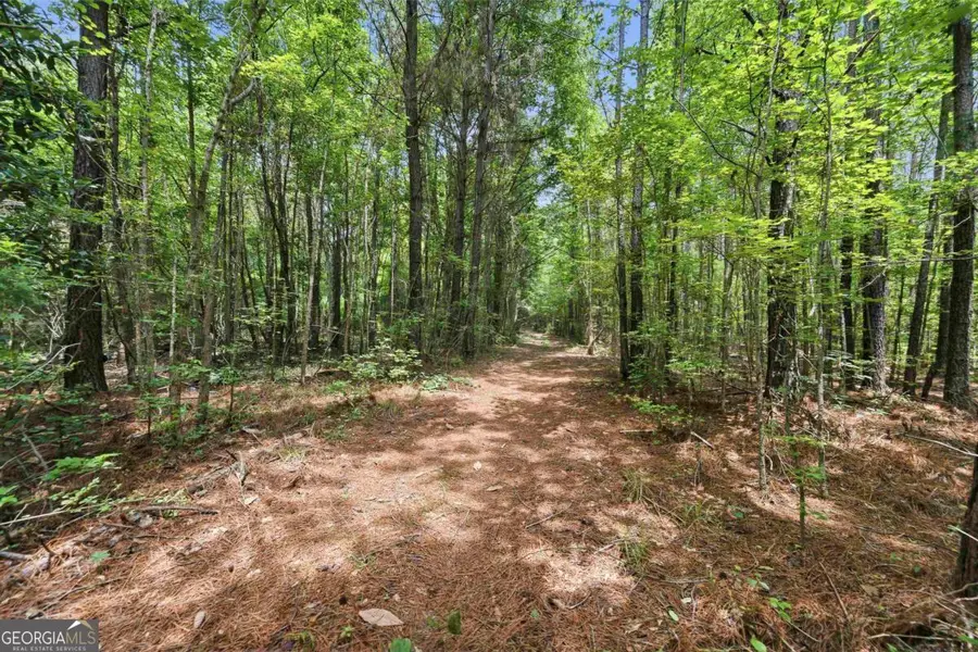 0 Pear Orchard Road, Greensboro, GA 30642 - #3