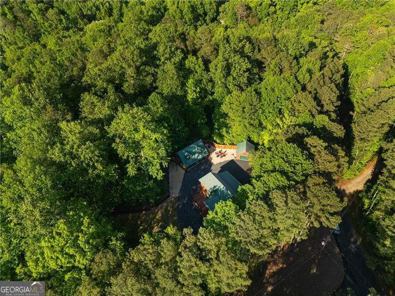 311 Woodland Brook Drive, Canton, GA 30115 - #1
