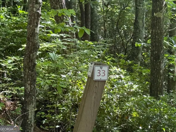 LOT 33 Fodder Creek Mill Drive, Hiawassee, GA 30546