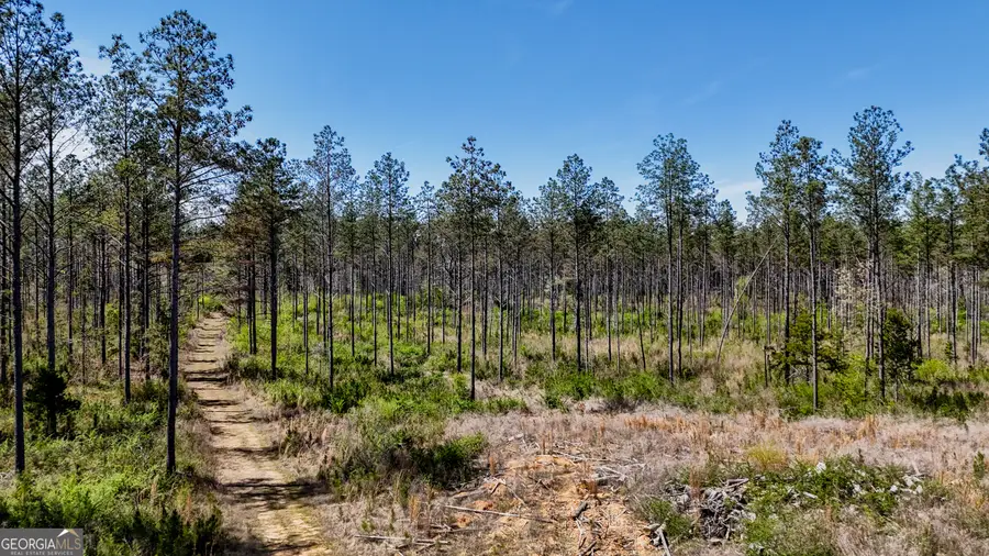 403 ACRES Youngs Farm Road, Cedartown, GA 30125 - #2
