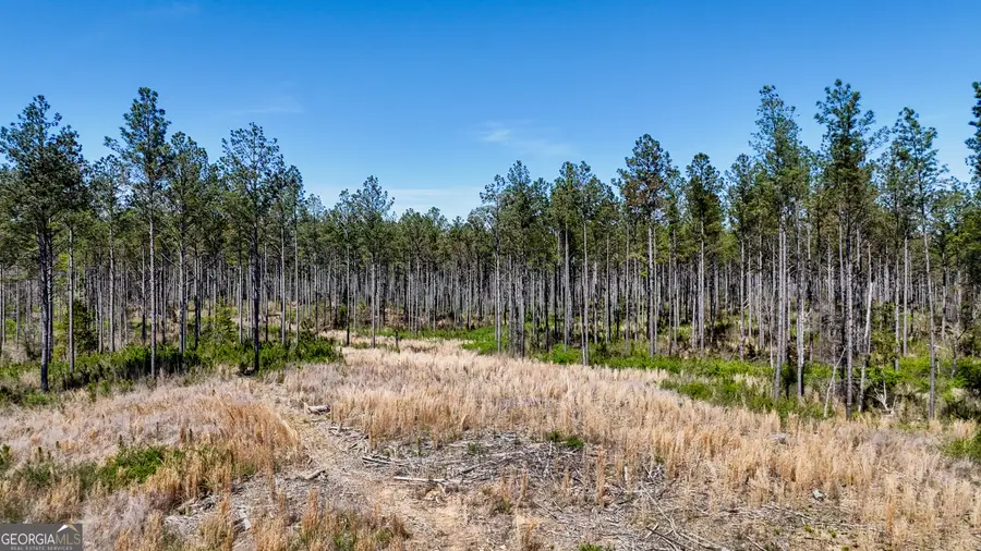 403 ACRES Youngs Farm Road, Cedartown, GA 30125 - #3
