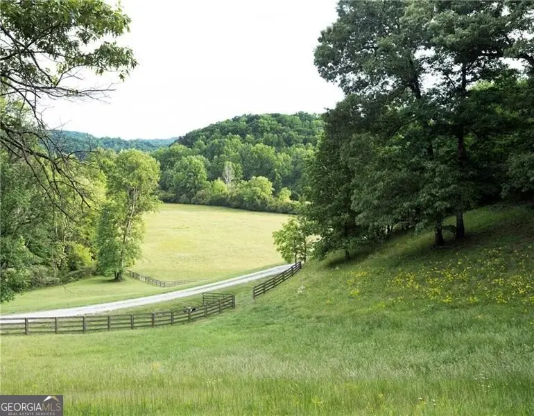 619 Hamp Mill Road, Dahlonega, GA 30533 - #3