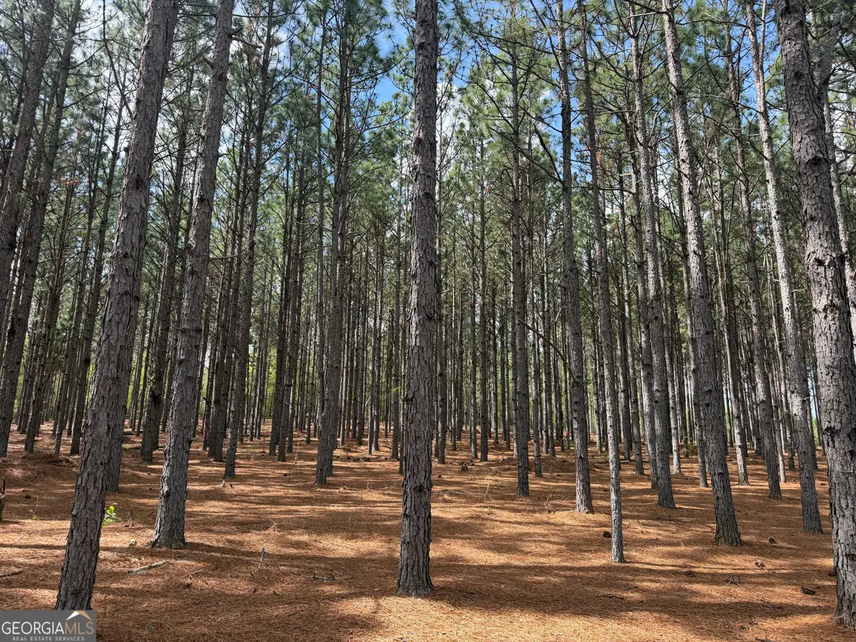 09 Barge Rd, Lumpkin, GA 31815 - #1