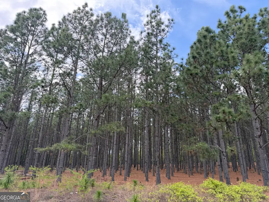 09 Barge Rd, Lumpkin, GA 31815 - #2