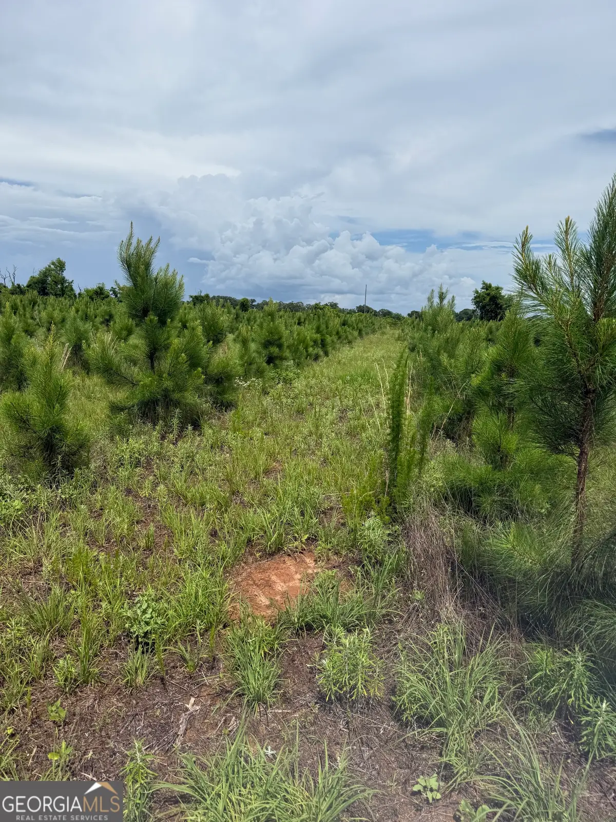 4276 County Line Rd, Lumpkin, GA 31815 - #1