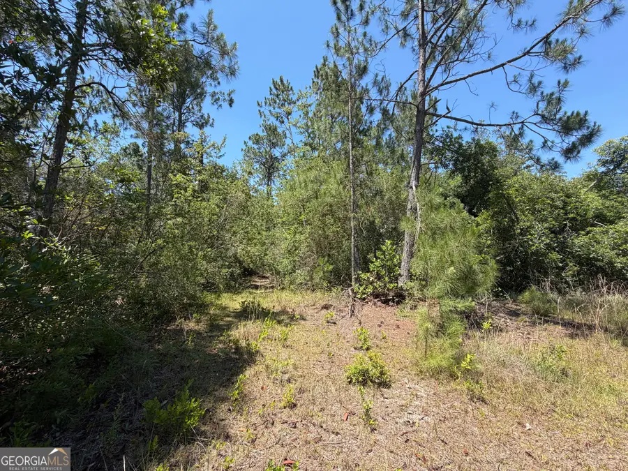 204 John Osburn Lane, Hazlehurst, GA 31539 - #3