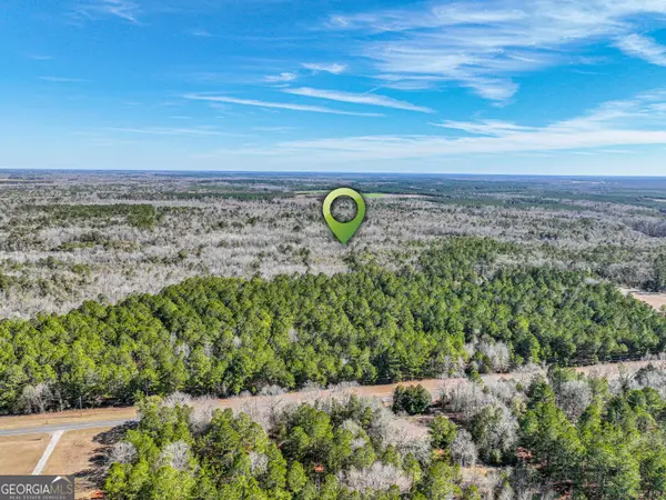 0 Buckeye Road, Tennille, GA 31089