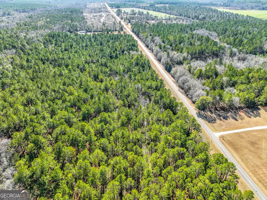 0 Buckeye Road, Tennille, GA 31089 - #3