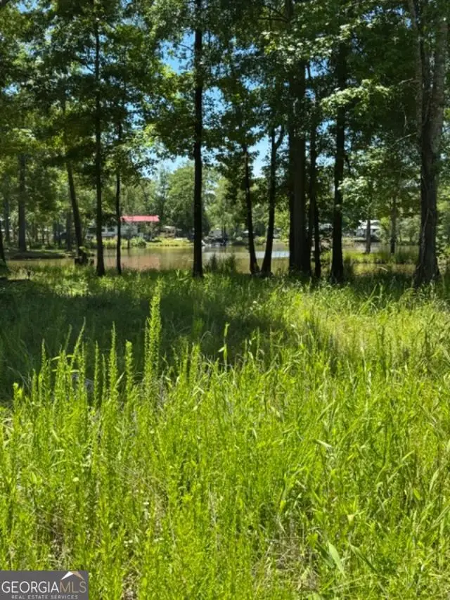 LOT 6 County Road 182 #6, Cedar Bluff, AL 35959 - #3