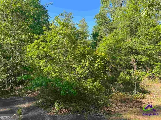0 Michael Court, Warner Robins, GA 31088 - #2