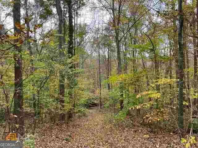4630 Cleveland Rd, Stonecrest, GA 30038 - #1