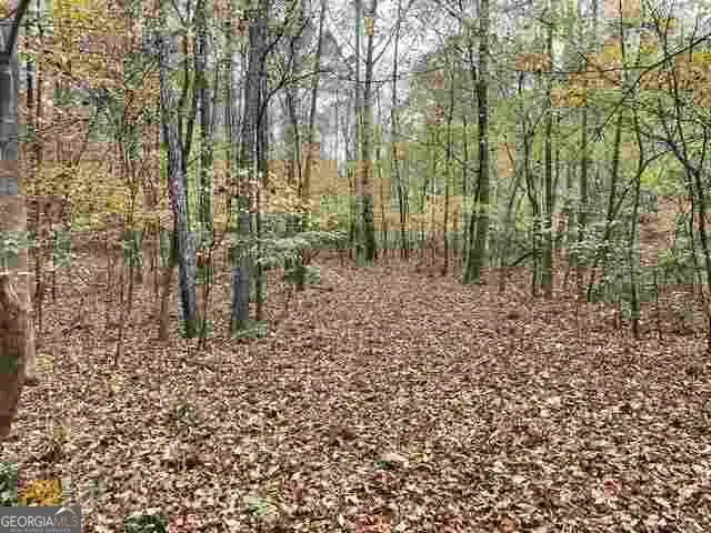 4630 Cleveland Rd, Stonecrest, GA 30038 - #2