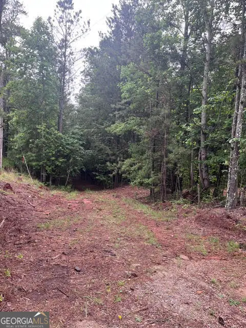 0 Dobbs Mountain Road, Villa Rica, GA 30180