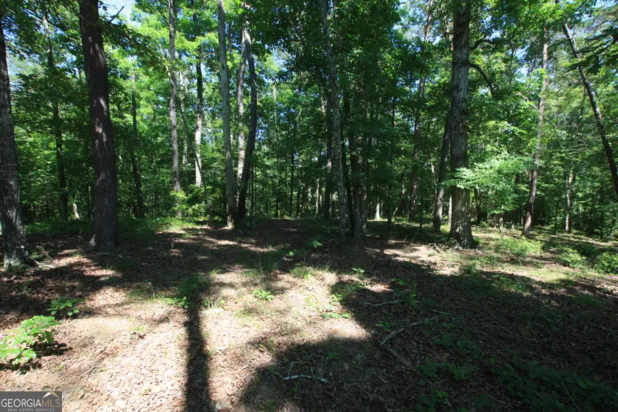 0 Mcgee Bend Road, Rome, GA 30165 - #3