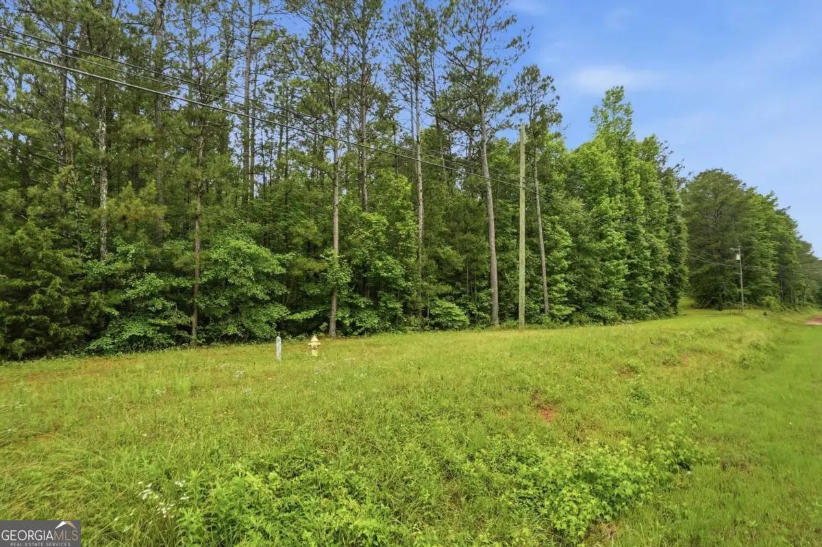 2919 Highway, Covington, GA 30016 - #1