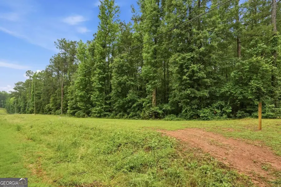 2919 Highway, Covington, GA 30016 - #2