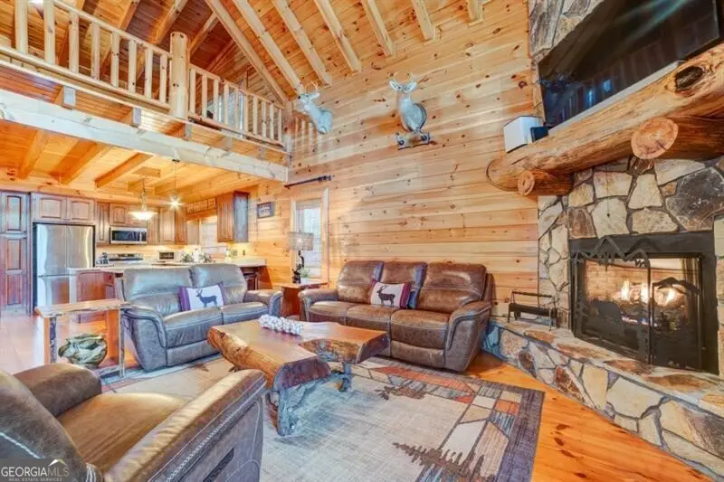 138 Lucius Lane, Cherry Log, GA 30522 - #3