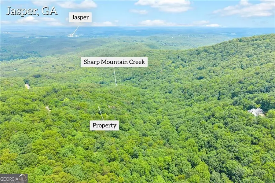 98 Sharp Mountain Parkway, Jasper, GA 30143 - #3